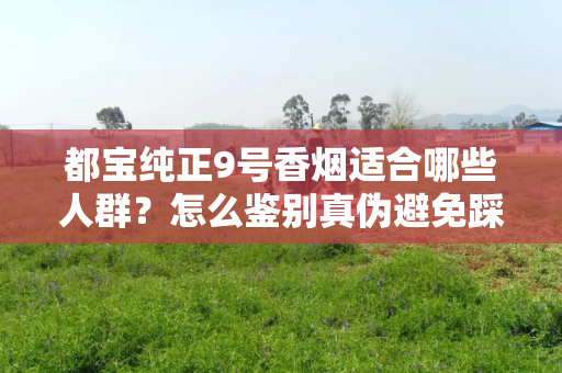 都宝纯正9号香烟适合哪些人群？怎么鉴别真伪避免踩坑？